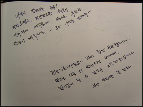 20100115221447370.jpg